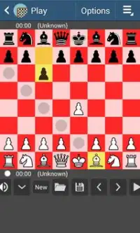 Chess Screen Shot 0