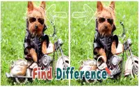 Find 5 Differences : Puppies Screen Shot 2