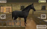 horse डर्बी दौड़ खोज सिम्युलेटर 3D खेल 2017 Screen Shot 1