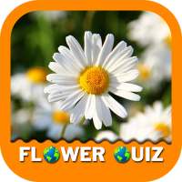 Flower Quiz Game 2020