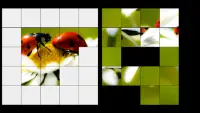 Ladybug Puzzle Game Screen Shot 1