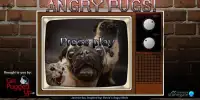 Angry Pugs by GetPuggedUp.com Screen Shot 0