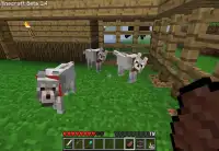 Pocket Pet Mod For Minecraft Screen Shot 1