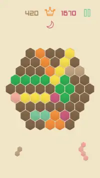 1010 Hexagon Grid Fit Puzzle Screen Shot 1