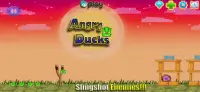 Knock Down Angry Ducks Slinghsot Screen Shot 2