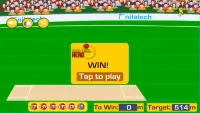 Sixer Cricket Hero Screen Shot 3