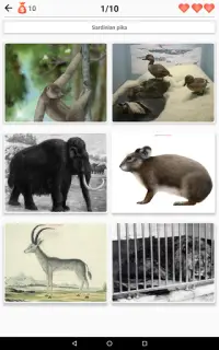 Extinct animals, endangered sp Screen Shot 7