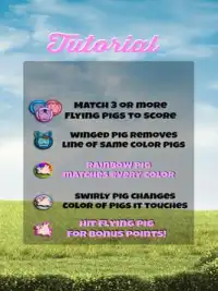 Flying Pigs Screen Shot 6