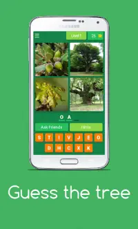 Guess the tree - Tree species identification quiz Screen Shot 0