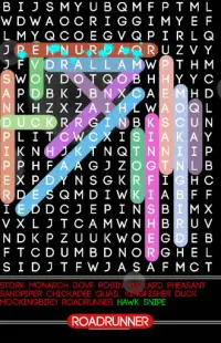 Word Search Puzzle Free Screen Shot 3