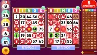 Bingo - Offline Bingo Games Screen Shot 0