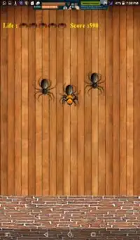 Spider Smash Game Screen Shot 2