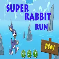 Super Rabbit Run Screen Shot 0