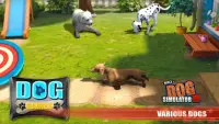 Mio Dog Simulator 3D - Real Offline Pet Games Screen Shot 7