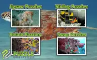 Free Under the Sea Puzzles Screen Shot 2