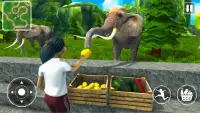 City Zoo Tycoon Adventure Screen Shot 3