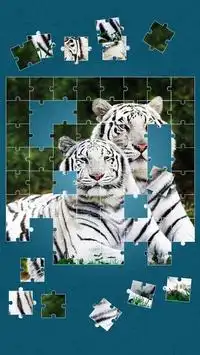Tiger Puzzle-Spiele Screen Shot 12