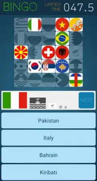 Flag Bingo - Random Flag Quiz Screen Shot 1