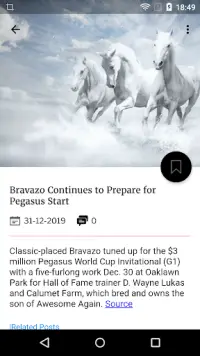 Horse Racing Latest News Screen Shot 6