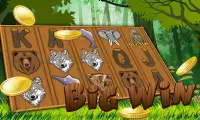 Wild Bear Slots Free Casino Screen Shot 0