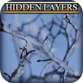 Hidden Layers: Frozen