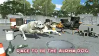 Dog Racing : Dog Games Screen Shot 1