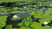 Feed Frog – animals for kids Screen Shot 1