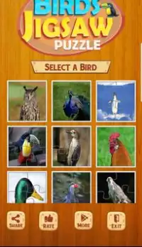 Birds Jigsaw Puzzle Screen Shot 0
