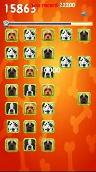 Dog Game For Kids: Match Game Screen Shot 3