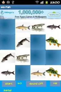 Fish Memory game Screen Shot 1
