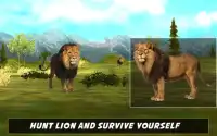 caça do leão franco-atirador Screen Shot 1