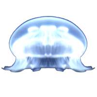 Jellyfish breeding game - free observation neglect