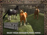 Pony Horse Maze Run Simulator Screen Shot 7