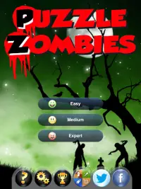 Puzzle & Zombies : Math Enigm Screen Shot 16