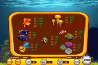 Yellow Fish Slot Screen Shot 4