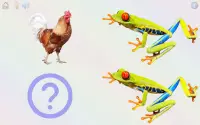 Juega&aprende:animales,colores,números,curiosidade Screen Shot 7