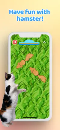 Games for Cat－Toy Mouse & Fish Screen Shot 4