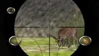 Deer, Bear, Tiger Hunting 2016 Screen Shot 3