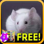 Mice Slots - Free