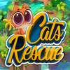 Cat Cartoon Rescue Game