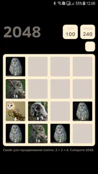Owl 2048 Screen Shot 3