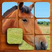 Cavalli puzzle (Gratuito)