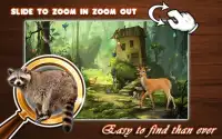 Hidden Object - Jungle Raccoon Screen Shot 2