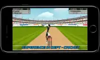 Cricket Game 2017 England Free Screen Shot 2