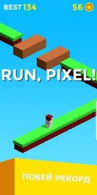 Run, Pixel, Run! Screen Shot 3