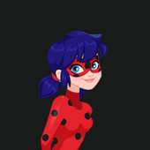 Ladybug Cat Aventure