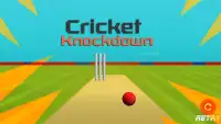 Cricket Knockdown Fever Screen Shot 2