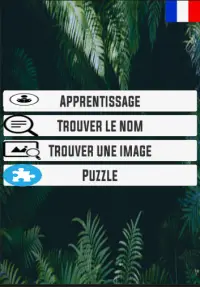 Apprentissage des noms d'animaux Screen Shot 0