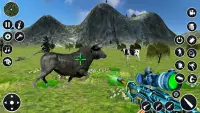 Angry Bull Hunting Screen Shot 9