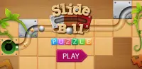Unblock Ball, Block Puzzle - Slide Ball Puzzle Screen Shot 6